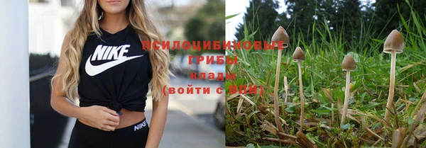 кокаин колумбия Алексин